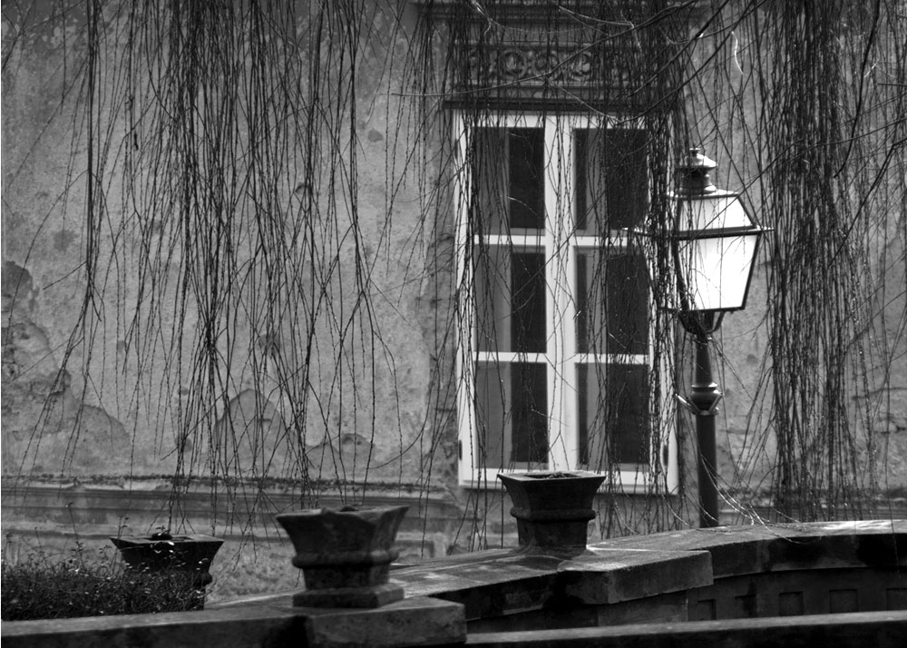 borisToplicanec (19)